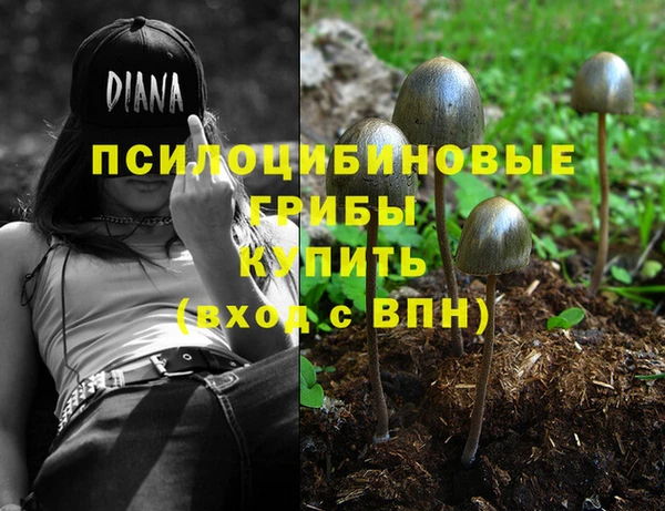 СК Алзамай