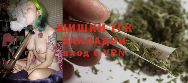 молекула духа Алексеевка