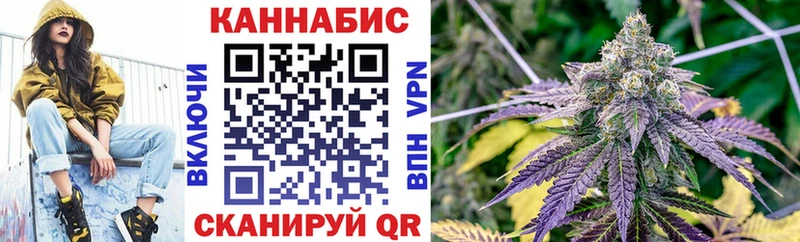 Конопля сатива  Купить где  Торопец 